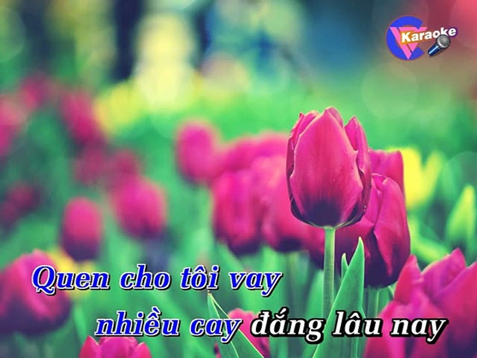 74 toi khong co don