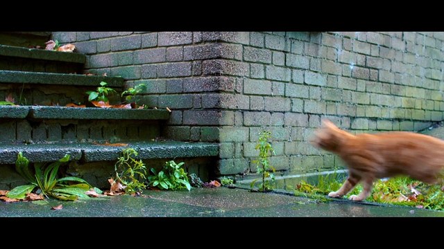 A Street Cat Named Bob - Clip - Bus