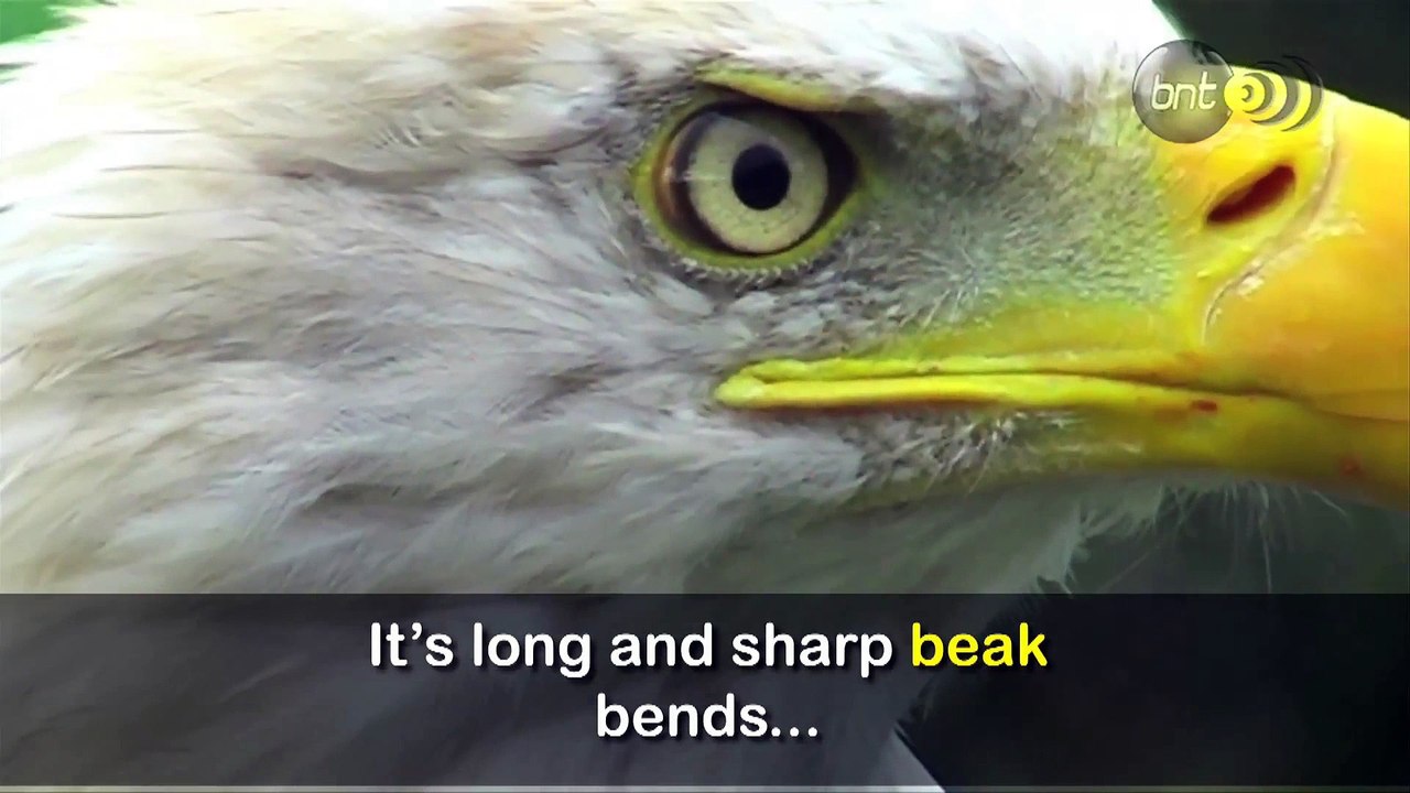 What my father taught me. I enjoyed endless conversations with him in my childhood. I need to pass on this to generation next