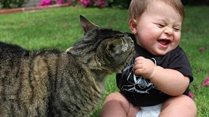 Funny Babies Laughing at Cats Compilation 2016