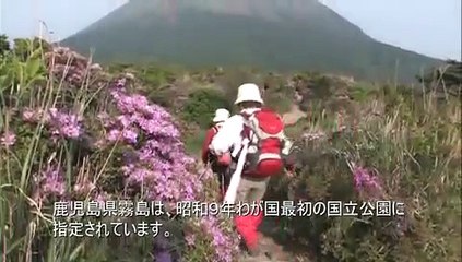 霧島ホテル 湯けむりとにごり湯の宿