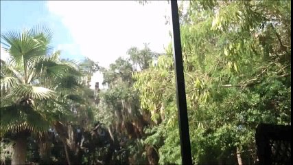 Cynthia Peterson of Apollo Beach Florida is a danger to children.