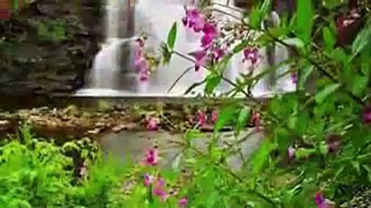 اكثر من الاستغفار تأتيك المعجزات !