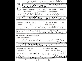 Graduale Clamaverunt iusti, Dominica XXX TpA (30è TO)