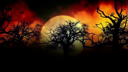 Y EL PANAMEÑO DICE QUE HAY CRISIS EN PANAMA