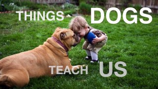 Things Dogs Teach Us