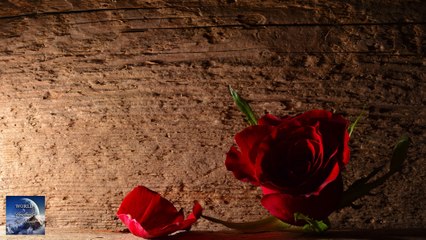 WORLD5 - Maybe There´s A Way (Lyrics HD)