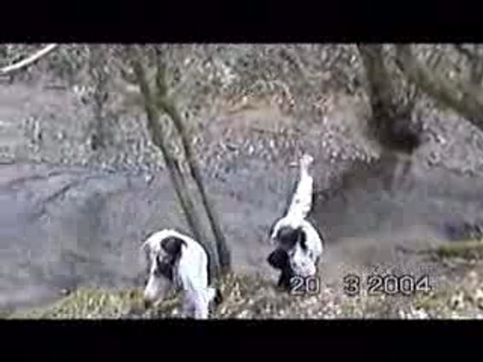 Exploit du Mutant à une chasse à l'homme