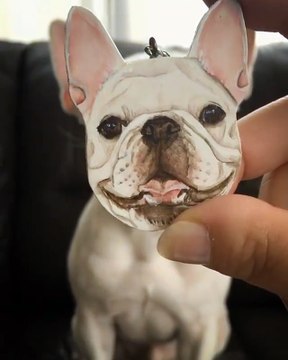 Bon chien VS Méchant chien... Trop drôle!