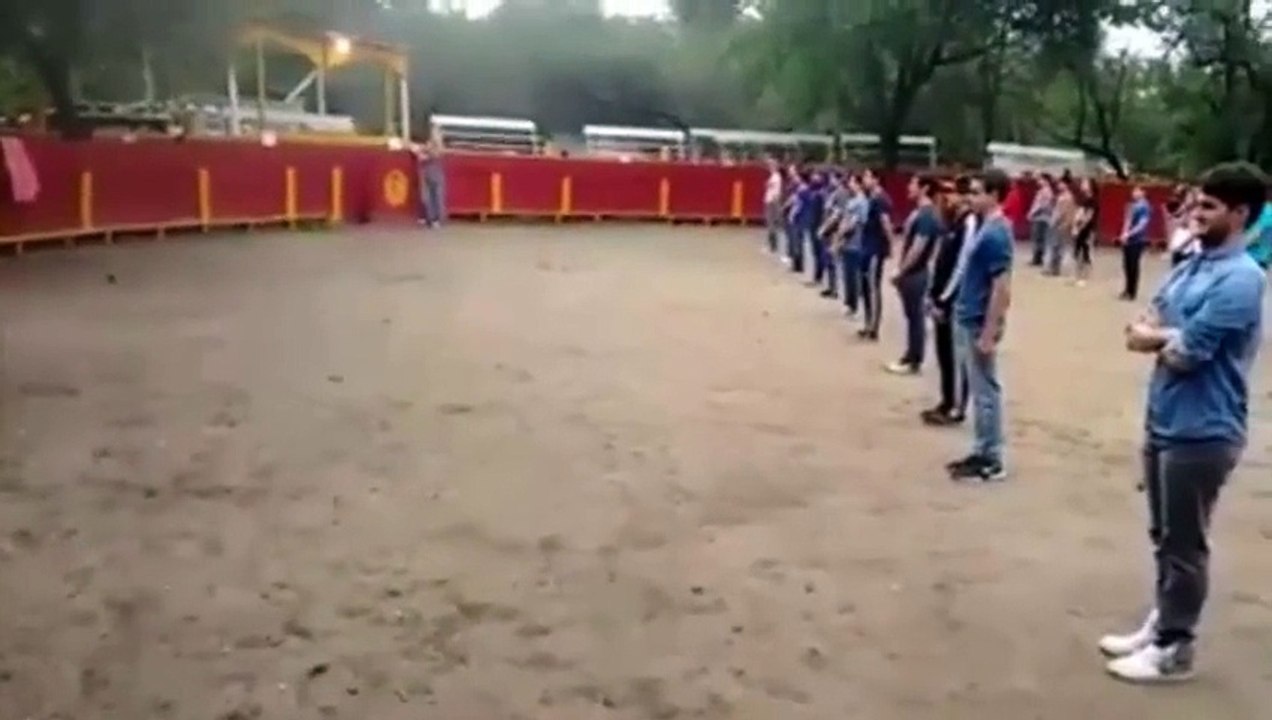 Professor juntou 40 alunos para provar que touros só atacam se forem atacados