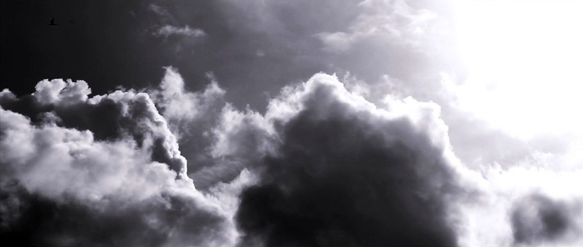 damien saez les meurtrieres(petite fenetre de bulding )mon mari décédé j ai toujours pas fait mon deuil et j aimerais tellement le rejoindre mais allah décideras de mon jour notre chanteur ue mon mari décédé ma fait connaitre grand artiste pour mon mari