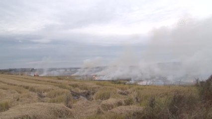 Duman Tüten Tarlanın Sahibine Ceza - Edirne