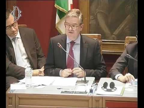 Roma - Audizione King, Commissario europeo (20.10.16)