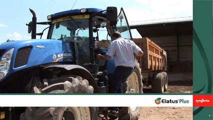 Syngenta : Test du nouveau fongicide céréales, Elatus Plus, sur l'exploitation de J.Christophe Theuil
