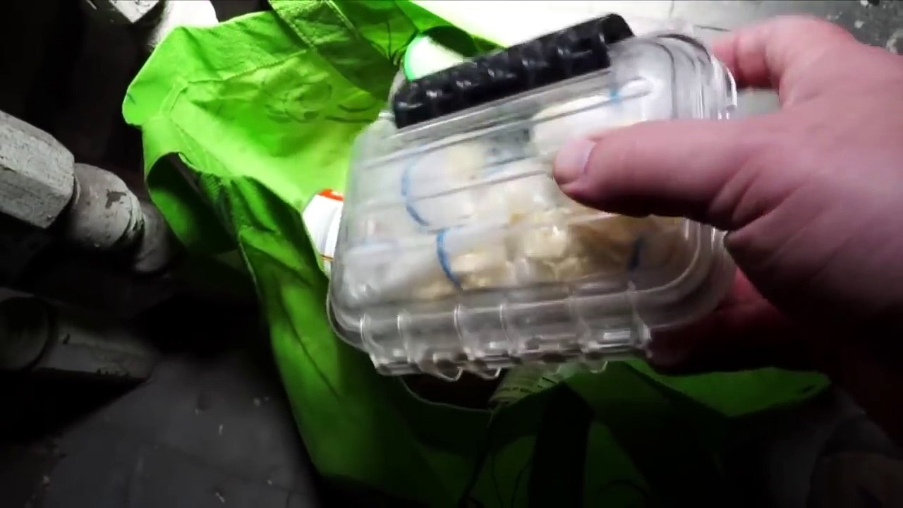 Top 5 SCARIEST YOUTUBER VIDEOS! (Scariest Videos Posted by Youtubers) - YouTube