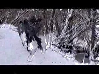 Promenade enneigée dans la Vallée des Rois