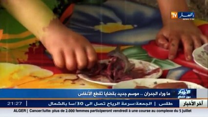 ما وراء الجدران..موسم جديد بقضايا تقطع الأنفاس