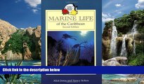 Big Deals  Marine Life of the Caribbean (Macmillan Caribbean Natural History)  Full Ebooks Best