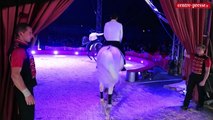 Video. Poitiers. Dans les coulisses du cirque Claudio Zavatta