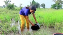 Beautiful Girl Fishing - Amazig Fishing at Battambang - Cambodia Traditional Fishing - (Part 83)