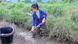 Beautiful Girl Fishing - Amazig Fishing at Battambang - Cambodia Traditional Fishing (Part 69)