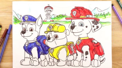 1, 2, 3… Coloriage | Episode 113 (EN INTEGRALITE) | NICKELODEON JUNIOR