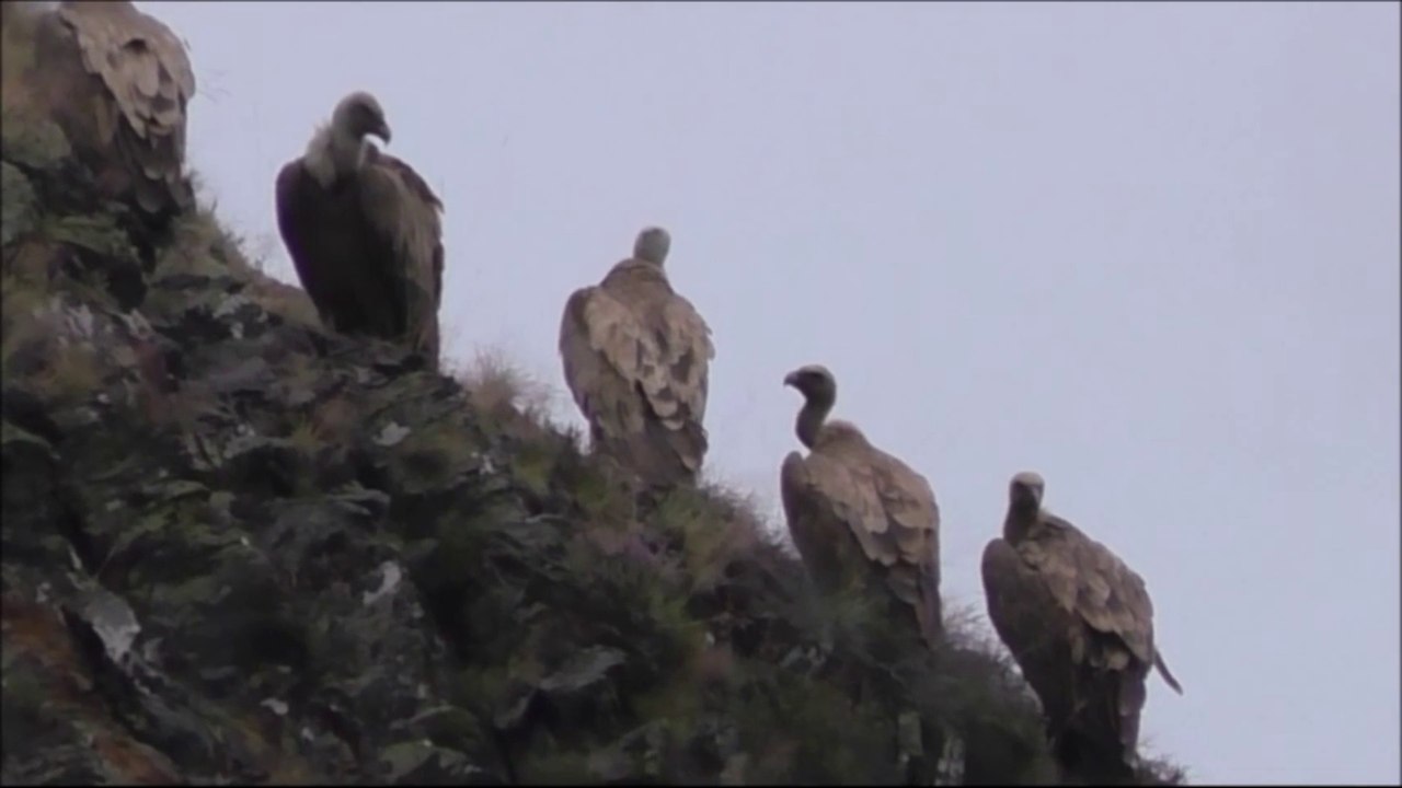 Traversée des Pyrénées - 5ème épisode