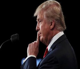 Jim Murphy Donald Trump