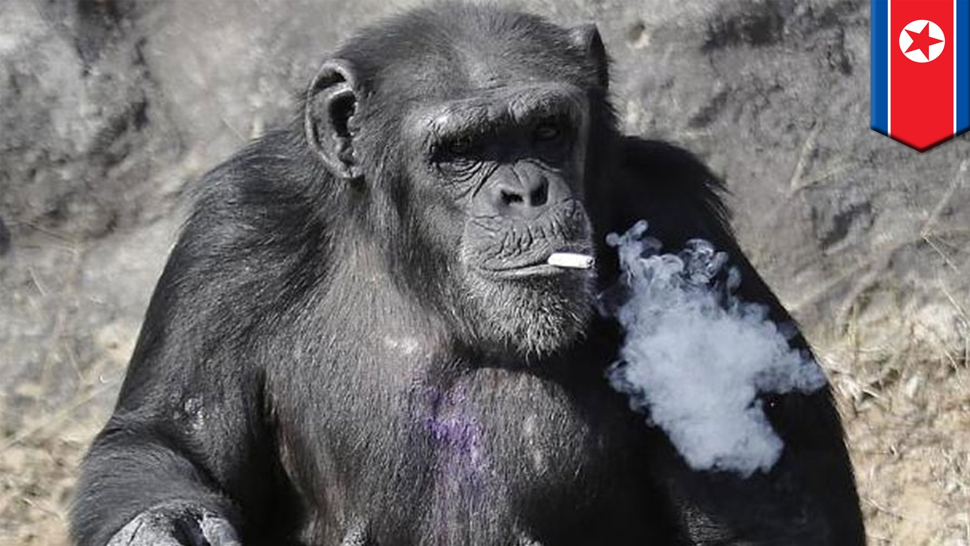 how much are cigarettes in oregon Oregon Cigarette Tax Rises 13 Cents Jan. 1
