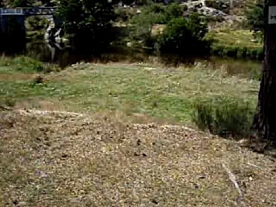 Quelques petits sauts