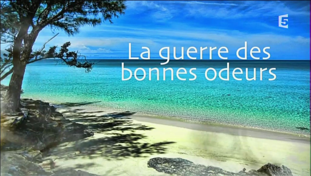 La Guerre Des Bonnes Odeurs [HD]