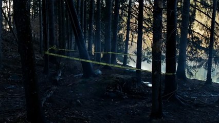 Estrenos de cine para este viernes 21 de octubre