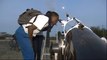 Travelling telescope educates Kenya's children
