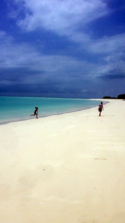 Vidéo La plage