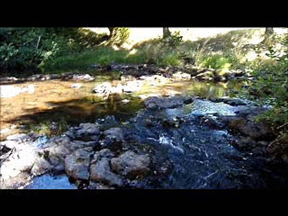 Les cascades du Hérisson.