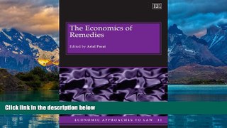 Big Deals  The Economics of Remedies (Economic Approaches to Law series)  Best Seller Books Most