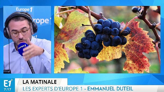 La production de vin, le cinquième anniversaire de la chute de Kadhafi en Libye : les experts d'Europe 1 vous informent