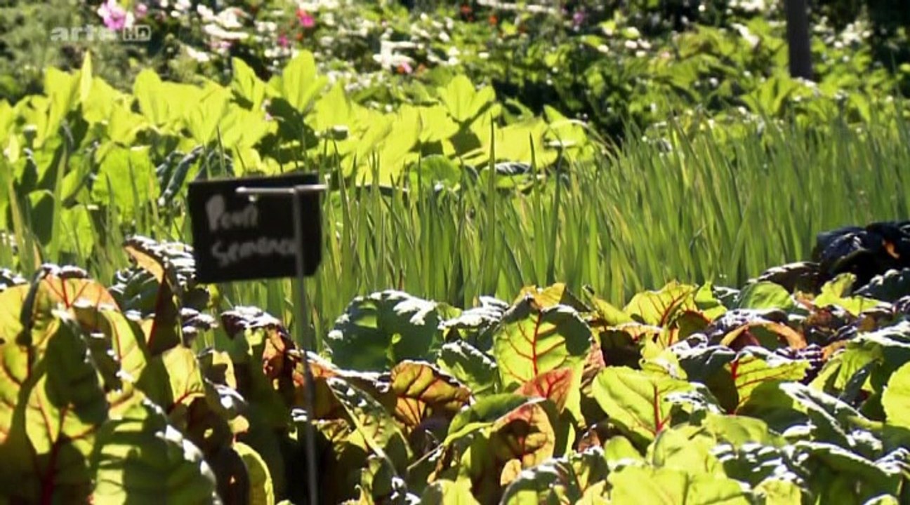 permaculture