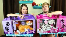 Puppy vs Kitty CHALLENGE Who can get the most BABY Cats & Dogs Game by DisneyCarToys