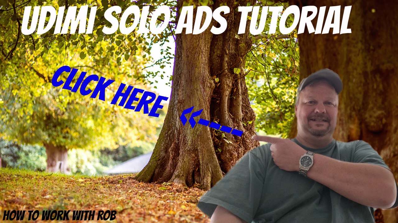 Udimi Solo Ads Tutorial