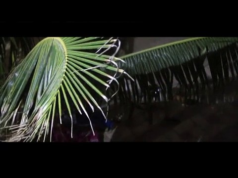 La luxueuse maison de Cheikh Amar à Touba