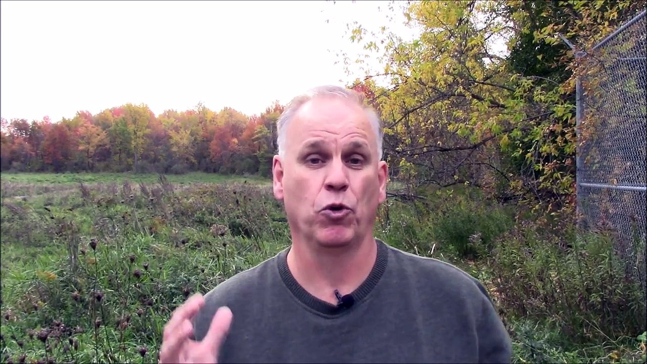 Effect of internet porn -relationships-motivational and inspirational video-2016