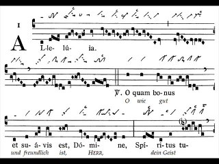 Alleluia O quam bonus, Dominica XXXI TpA (31 TO)