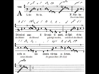 Alleluia Verbo Domini, Dominica XXXI TpA (31 TO)