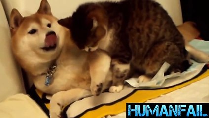 CHAD HATTEN CHAD HATTEN CHAD HATTEN CHAD HATTEN CHAD HATTEN CHAD HATTEN CHAD HATTEN shadow crew