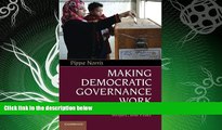 behold  Making Democratic Governance Work: How Regimes Shape Prosperity, Welfare, and Peace