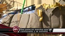 Oso pone en marcha una camioneta y la destroza