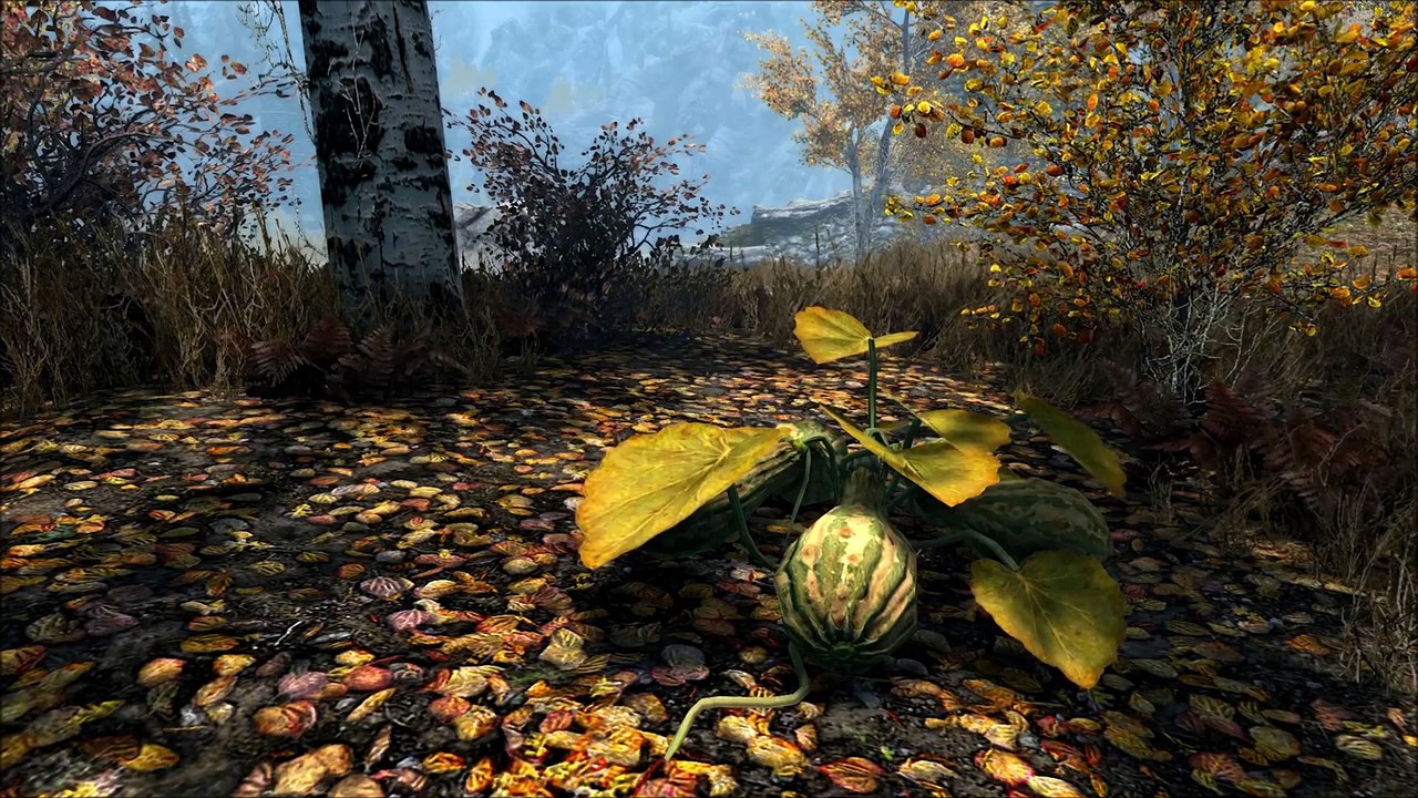 Skyrim: Special Edition - La grafica