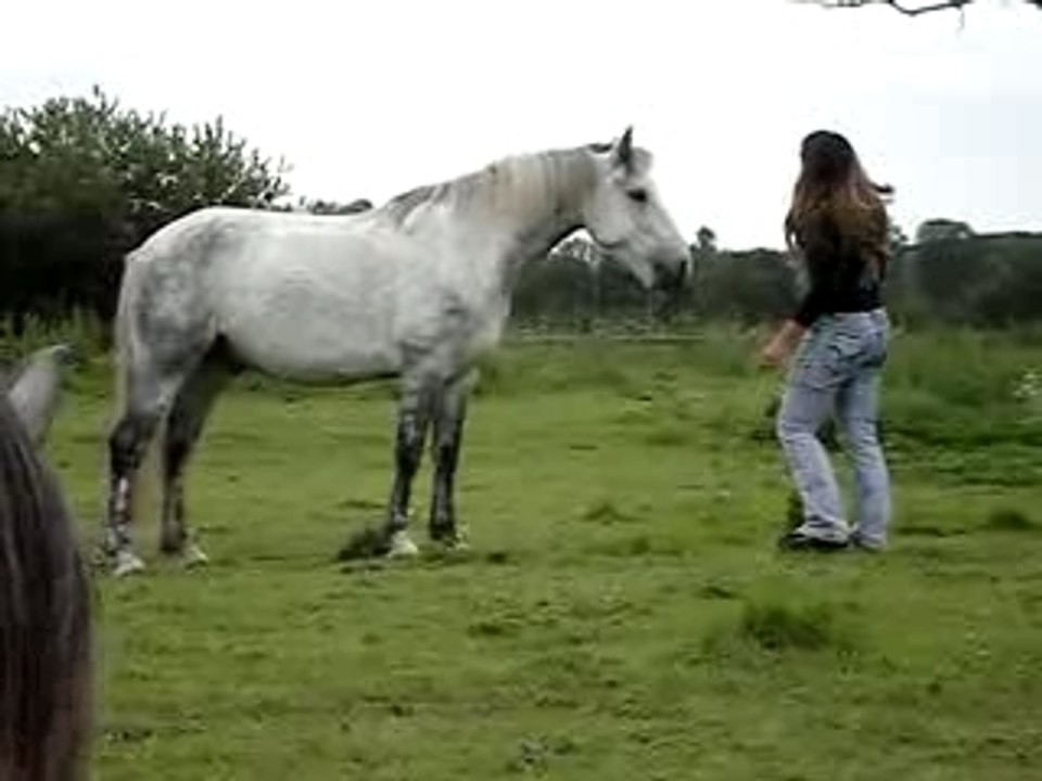 Jambette