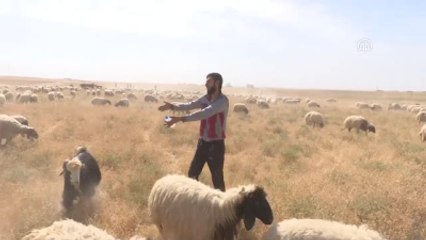 Musul'u Deaş'tan Kurtarma Operasyonu